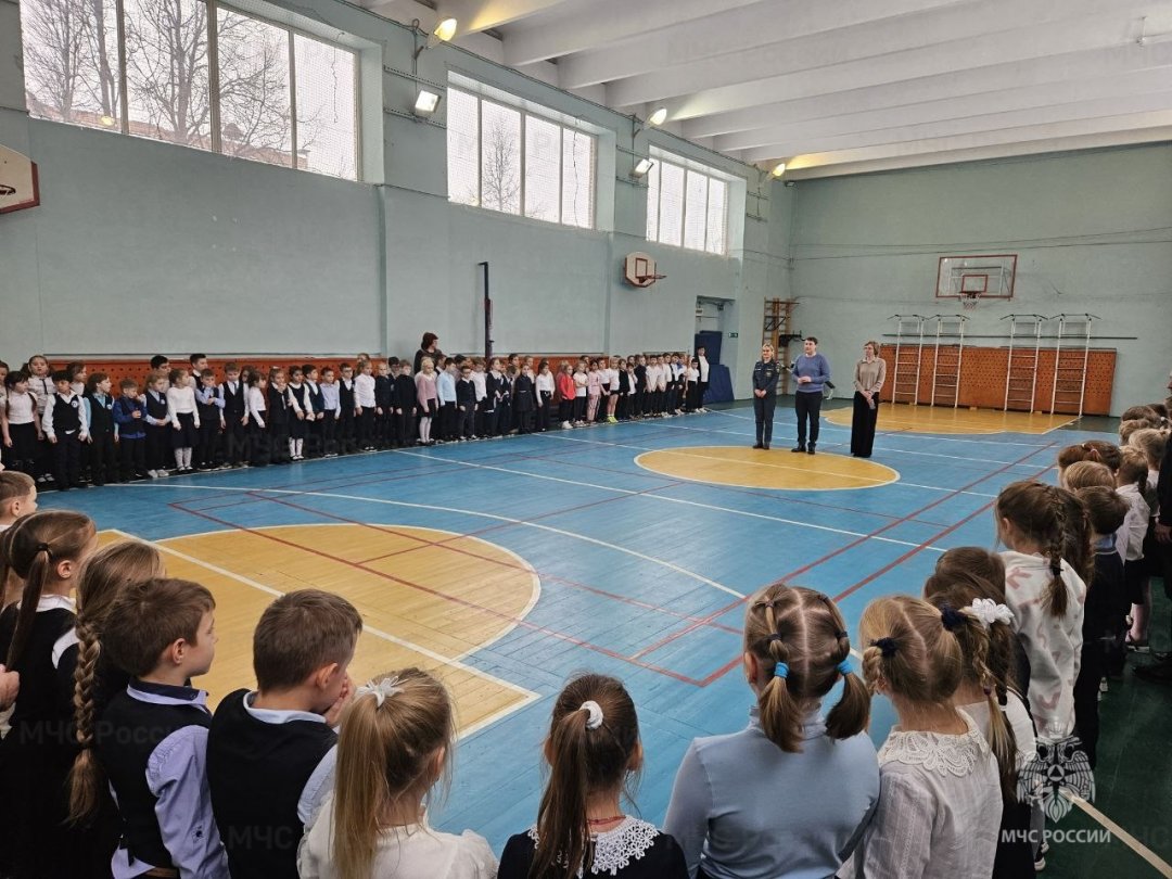 Инспекторы пожарного надзора провели инструктаж в гимназии Ивантеевки